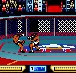 Ultimate Fighting Championship (USA)