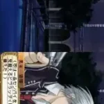 Vampire Knight DS (Japan)