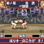 Wakataka Oozumou - Yume no Kyoudai Taiketsu (Japan)