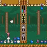 Wario's Woods (USA)