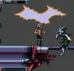 Wolfchild (USA, Europe)