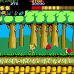 Wonder Boy (set 2, 315-5178)