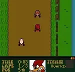 Woody Woodpecker no Go! Go! Racing (Japan)