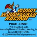 Woody Woodpecker Racing (USA)