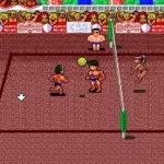 World Beach Volley (Japan)