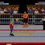 WWF Raw (World)