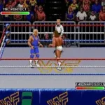 WWF Royal Rumble (USA)