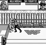 WWF Superstars 2 (Japan)