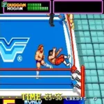 WWF Superstars (bootleg) [Bootleg]