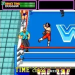 WWF Superstars (Europe)