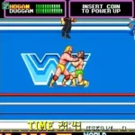 WWF Superstars (US, newer)