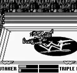 WWF War Zone (USA, Europe)