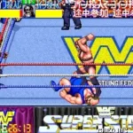 WWF WrestleFest (Japan)