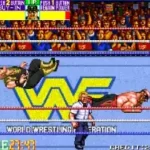 WWF WrestleFest (US)