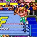 WWF WrestleFest (US set 1)