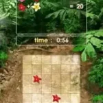 Zenses - Rainforest (Europe) (En,Fr,De,Es,It,Sv,No,Da)