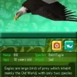 Zoo Hospital (Europe)